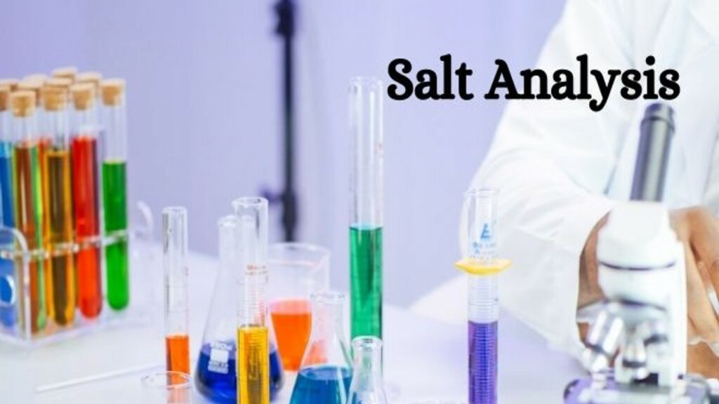 chemistry-practical-class-11-pdf-download-salt-analysis-puneplasma