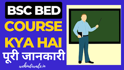 BSC BED COURSE DETAILS IN HINDI | योग्यता & फीस | जॉब & सैलेरी | 2024